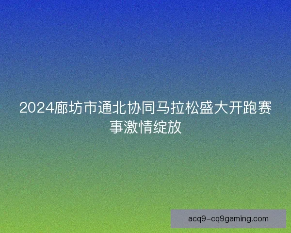 2024廊坊市通北协同马拉松盛大开跑赛事激情绽放